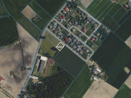 Przetarg - obręb Nieżywięć