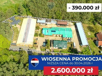 Doskonała okazja dla koniarzy i nie tylko!