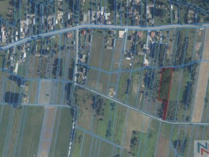 Przestronna działka 4000 m² - Rządza