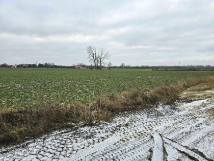 Na sprzedaż działka budowlana Grodziec Mały o powierzchni 21