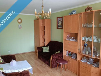 Wynajmę mieszkanie dwupokojowe Gdańsk Stogi bez pośredników