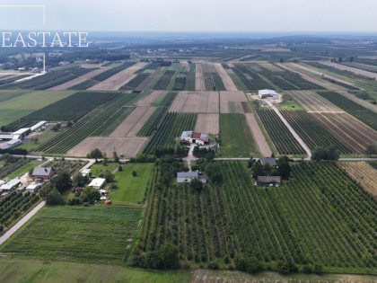 Działka Świdno ul.  