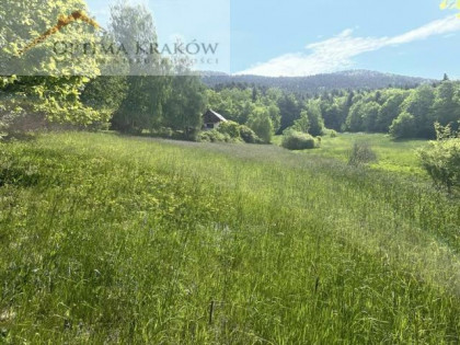 Działka budowlana Wierzbanowa gm. Wiśniowa