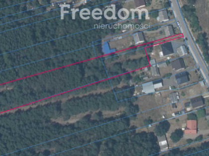 Działka budowlana 11,7a plus las 55a Podlesie Małe