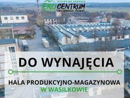 Hale w Wasilkowie