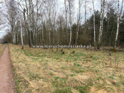 Działka rolno-budowlana Wodzisław Śląski