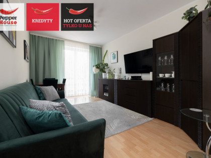 Mieszkanie Gdańsk Wrzeszcz ul. Romana Dmowskiego