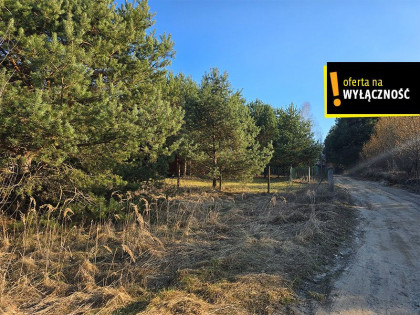 Działka Życiny ul.  