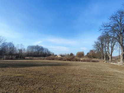 1607 m² PRZY TRASIE S8! KALEŃ-TOWARZYSTWO, POWIAT GRODZISKI