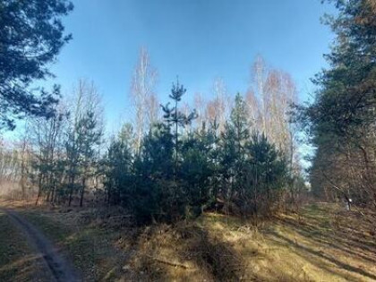 Zakrzewo Kościelne / rekreacja/ 90km Warszawa Lódź
