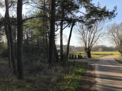 Działka leśna z planem zagospodarowania domki letniskowe