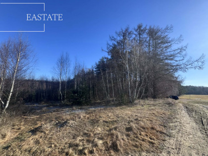 Działka Pierwoszyno rynek pierwotny ul. Jabłoniowa