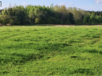 Działka Koryta ul. Lipowa