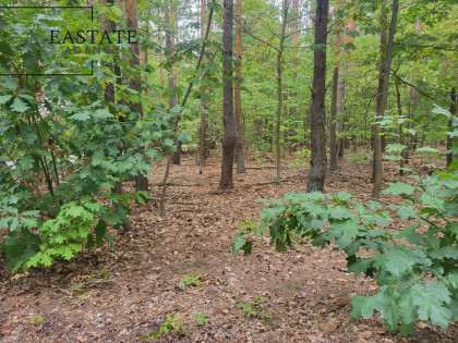 Działka Warszawa Wawer ul. Liścienia