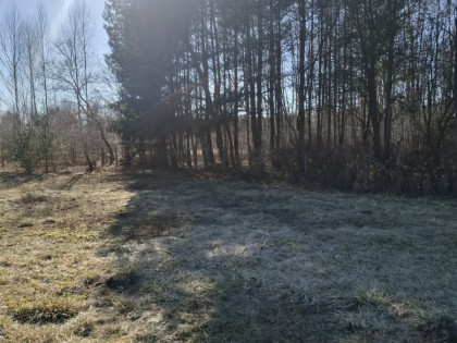 Działka Nowy Prażmów ul. Akacjowa