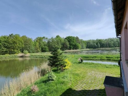 Stawy rybne 12 ha – inwestycja, hodowla ryb |Opolskie