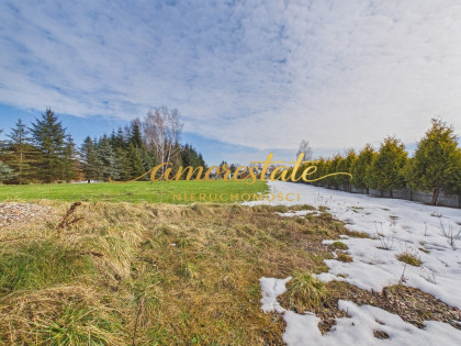 Usługowa działka z potencjałem w Cedrach Wielkich.