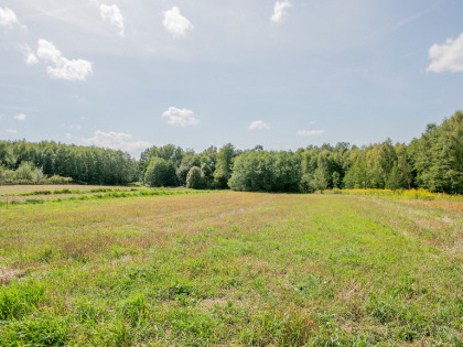 Działka zagrodowa Poręba Radlna-gm. Tarnów!