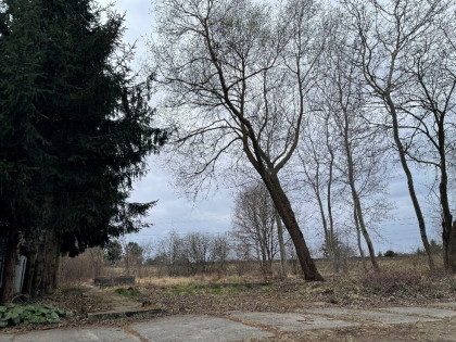 Działka Białogard, ul. Zielona