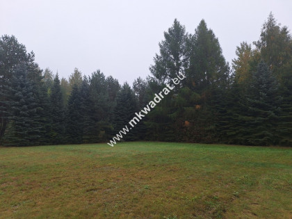 Ładna działka w otulinie lasu Wolica