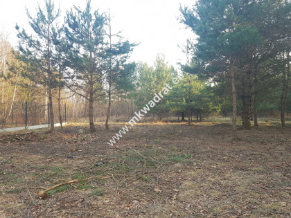 Działka z mediami Rozalin gmina Nadarzyn