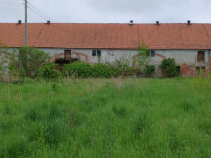 Sprzedam działkę 0,6h Rosochata gm.Kunice