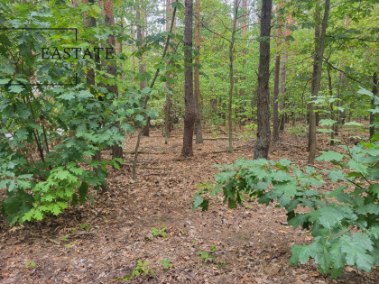 Działka Warszawa Wawer ul. Liścienia