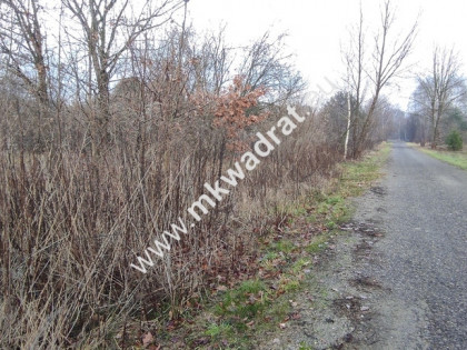 ⭐⭐⭐⭐  Działa 1122 m MPZP media Budy Grzybek   ⭐⭐⭐⭐