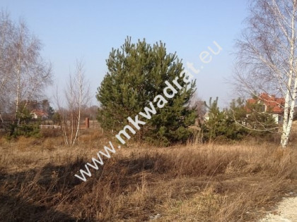 ⭐⭐⭐⭐  Super Działka z mediami Rusiec  ⭐⭐⭐⭐