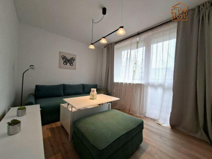 Wynajmę 2 pokoje, pet friendly, Malczewskiego 10