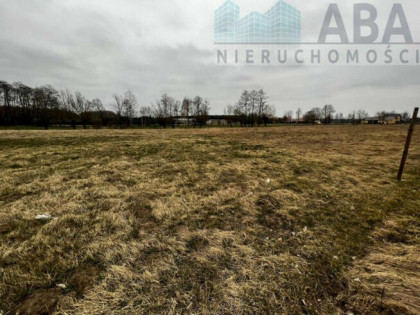 Działka na sprzedaż w miejscowości Dębicz gm. Kramsk