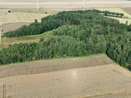 Syndyk w post VI GUp 530/21 sprzeda udział 1/2 Wojciechowo