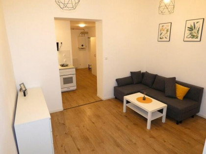 Wynajmę 2 pokoje w Centrum, Wolności 302