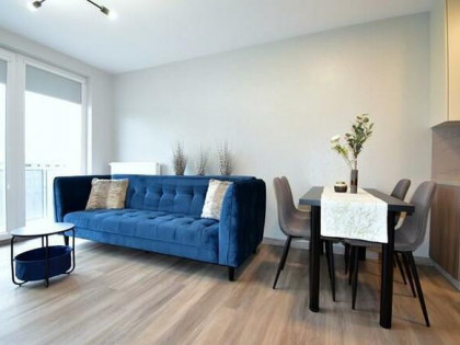 2 pokoje z balkonem - Felińskiego 5