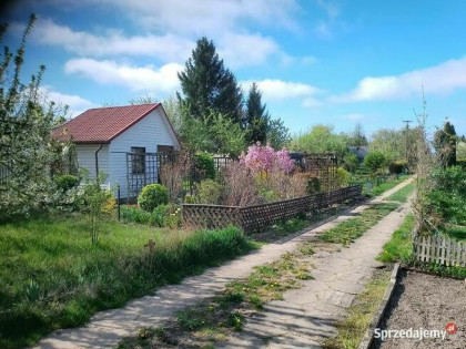 Działka 300 m2 ROD w Białysmstoku ul. Mickiewicza 102