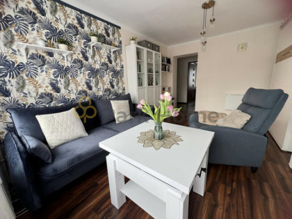 Mieszkanie Zielona Góra,