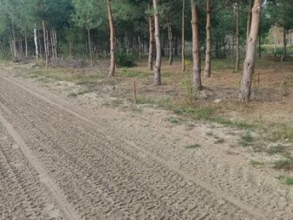 Leśny azyl z dostępem do swojskiego jadła – Smyków k. Rakow