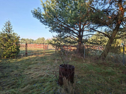 Nieruchomość - Dymaczewo Nowe