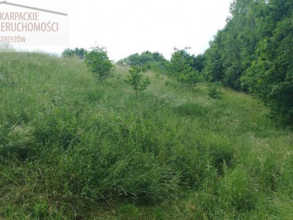 Działka Glinik Górny