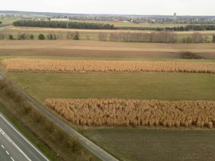 Działka usługowa Dobrodzień, Szemrowicka