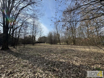 Działka rolno-budowlana Dołęga gm. Szczurowa