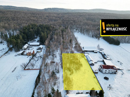 Działka Lechów ul.  