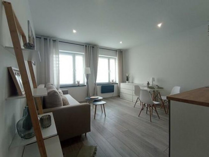 Wynajmę 3 pokoje przyjazne zwierzętom, Reja 13