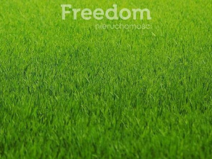 Działka inwestycyjna z dużym potencjałem.