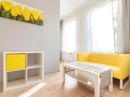 Krakowska 156A, Wilhelmina, funkcjonalna kawalerka