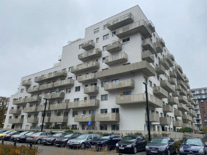 Lokal Wrocław Stare Miasto ul. Białowieska