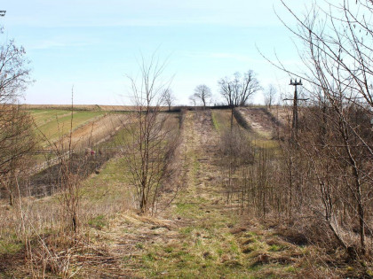 Działka Krzysztoforzyce