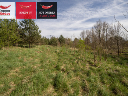 Działka Kłodawa ul. Słoneczna