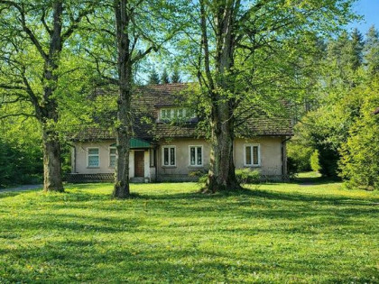 Dom w lesie - Biały Bór Oaza ciszy i spokoju