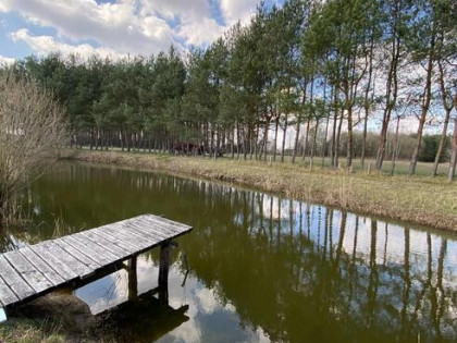 Działka 53 980 m2, 2 domy+b.gospodarczy,staw, las